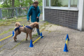 IMG-20250507-WA0032